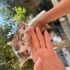 Minik kardesler fotoğraf