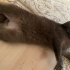 AÇIKLAMAYI OKUYUNUZ LÜTFEN fotoğraf