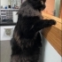 3 yaşında cok sakin cana yakın fotoğraf