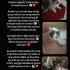 3 Minik Kardeş Sıcak Yuvalarını Arıyor fotoğraf