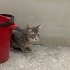 Çok insancıl, kısır, oyuncu fotoğraf