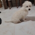 3 aylık güzel oğlana ev arıyoruz fotoğraf