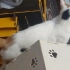 Pamuk kızımıza yuva fotoğraf