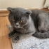 Yakışıklı erkek fotoğraf