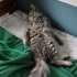 Engelli çocuğumuza yuva fotoğraf