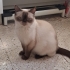 Prenses kızımıza güzel bir yuva fotoğraf