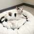 MİNİK KIZ YUVA BULAMADI, SOKAĞA DÖNÜYOR.. fotoğraf