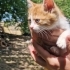 Minik Dostumuza Ömürlük Yuva Arıyoruz 🐾 fotoğraf