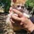 Minik Dostumuza Ömürlük Yuva Arıyoruz 🐾 fotoğraf