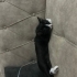 Oyuncu ama yaramaz değil fotoğraf