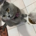 Prensesimizi Sahiplendiriyoruz fotoğraf