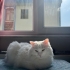 Dünyalar güzeli beyazım şirinim fotoğraf