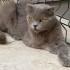 Ailem olur musun fotoğraf
