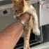 BU AKILLI MİNİĞE ACİL ÖMÜRLÜK YUVA 🐾 fotoğraf