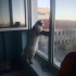 🐾 Badem Ömürlük Yuvasını Arıyor 🐾 fotoğraf