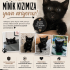 Minik Yoda Ömürlük Yuvasını Arıyor fotoğraf
