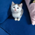 Prensesimiz Bella Hanım fotoğraf