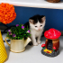 Prensesimiz Bella Hanım fotoğraf