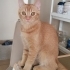 5aylik sarman disi fotoğraf