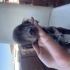 Minicik bir bebek fotoğraf