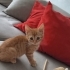 Tatlı kız yuva arıyor fotoğraf