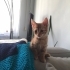 Tatlı kız yuva arıyor fotoğraf