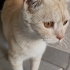 Bu güzellik sokaklarda yok olmasın fotoğraf