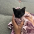 SALEM ÖMÜRLÜK YUVASINI ARIYOR fotoğraf