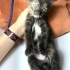 Sevimli Ninja kaplumbağa kardeşler kuğuludan fotoğraf