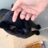 SABIRLI VE SEVGİ DOLU ÖMÜRLÜK YUVA ARANIYOR 🐾 fotoğraf