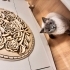Blue poınt brıtısh shorthair dişi kedi fotoğraf