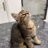 LOKUMA ÖMÜRLÜK YUVA fotoğraf