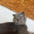 ONA ÖMÜR BOYU SÜRECEK BİR YUVA ARIYORUZ fotoğraf