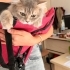 LİLA YENİ EVİNE GİTMEK İÇİN ACELE EDİYOR ONA GÜZEL BİR EV ARIYORUZ fotoğraf