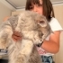 LİLA YENİ EVİNE GİTMEK İÇİN ACELE EDİYOR ONA GÜZEL BİR EV ARIYORUZ fotoğraf