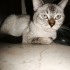 Belkide Pırtık'ın hayatındaki en güzel hikâye, sizin mesajınızla başlayacak. fotoğraf
