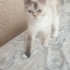 ARAMAYIN YALNIZCA WHATSAPP fotoğraf