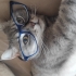 Maya'mıza kalıcı bir yuva arıyoruz fotoğraf