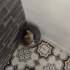 2 Aylık Sevimli Yavru Kedimize Ömürlük Yuva Arıyoruz 🐾🤍 fotoğraf