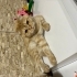 Özel rengiyle scottish fold fotoğraf