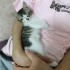Kucak bebesi kime gelsin ? fotoğraf
