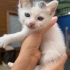 2 aylık dünya güzeli bebek acil fotoğraf