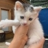 2 aylık dünya güzeli bebek acil fotoğraf