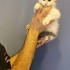 Pofuduk sokağa dönmesin acil yuva fotoğraf
