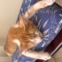 Annem beni Koruyucu anne evinde dünyaya getirdi sokakları bilmem 🐾🏠🙏🏻🏡 fotoğraf