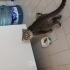2 kardeş yuva ariyor fotoğraf