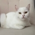 Acill sokaktan bulduk fotoğraf