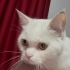 Acill sokaktan bulduk fotoğraf
