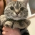 Yuva bulamazsak sokağa atacaklar Acil yuva🥺 fotoğraf