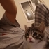 Mini hareketli oyuncu fotoğraf